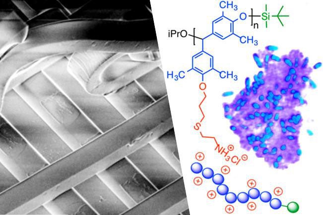 RPI MSE - Polymers and Biomaterials